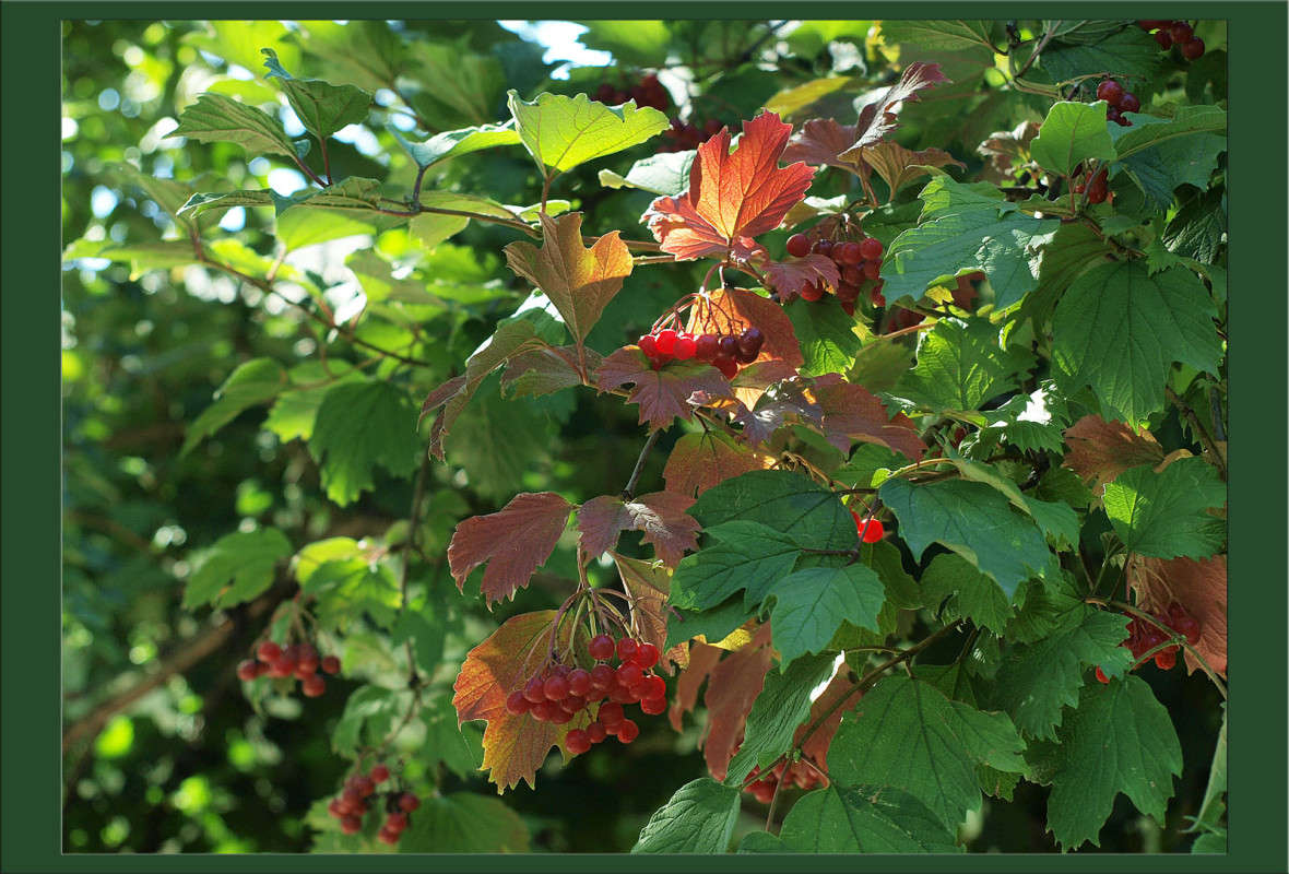 ������� ����� ����� ������  �� PhotoGeek.ru #������ ��� �������