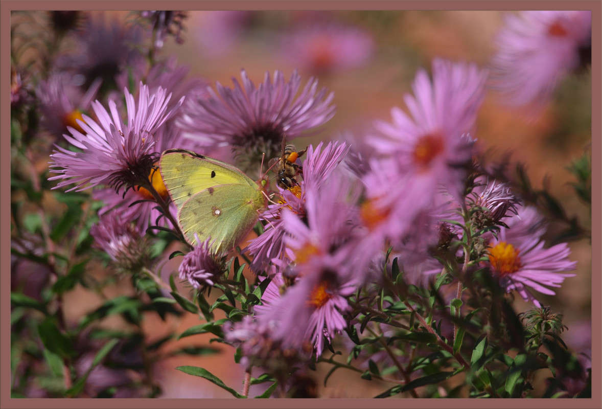 ���� �� ����� ����� ������  �� PhotoGeek.ru #������ ��� �������