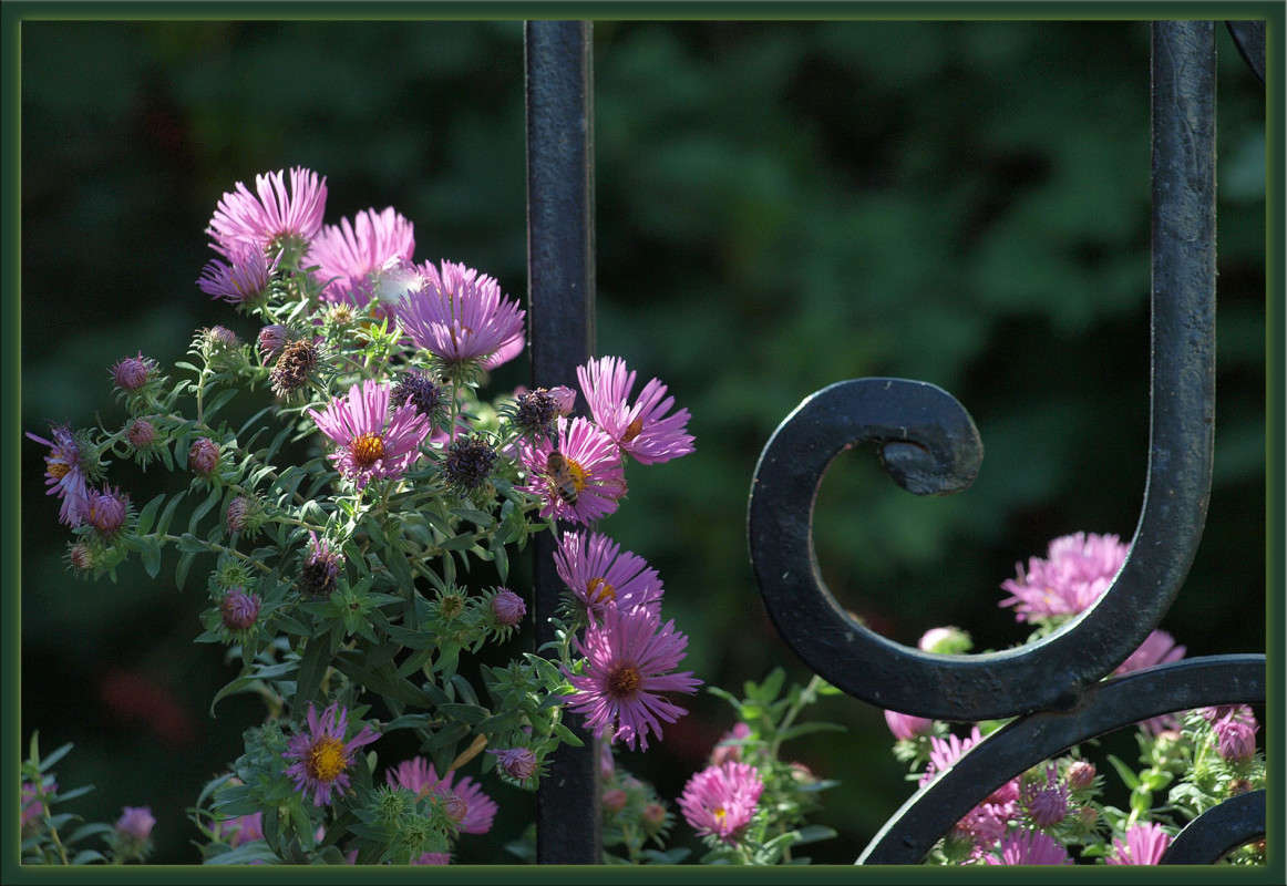 �������� ������� ����� ������  �� PhotoGeek.ru #�������� ����������