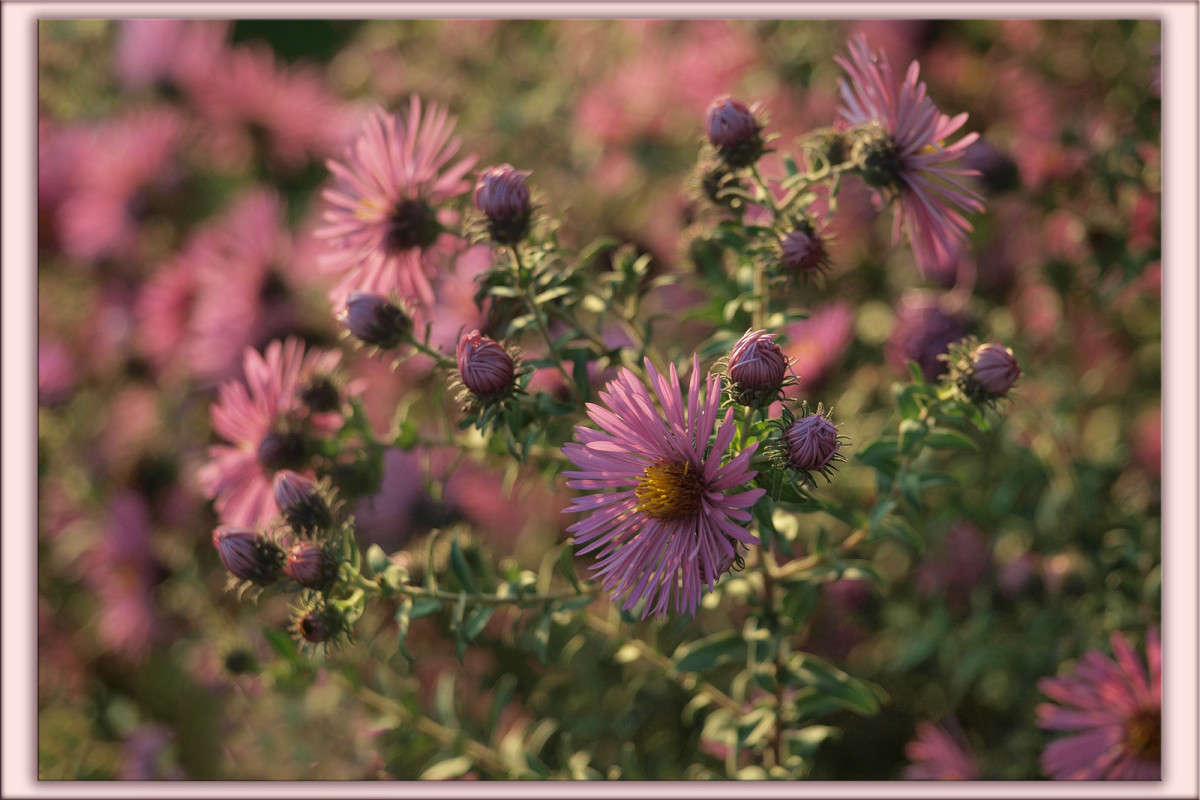 ��� �� ������� 8 ����� ������  �� PhotoGeek.ru #������ ��� �������