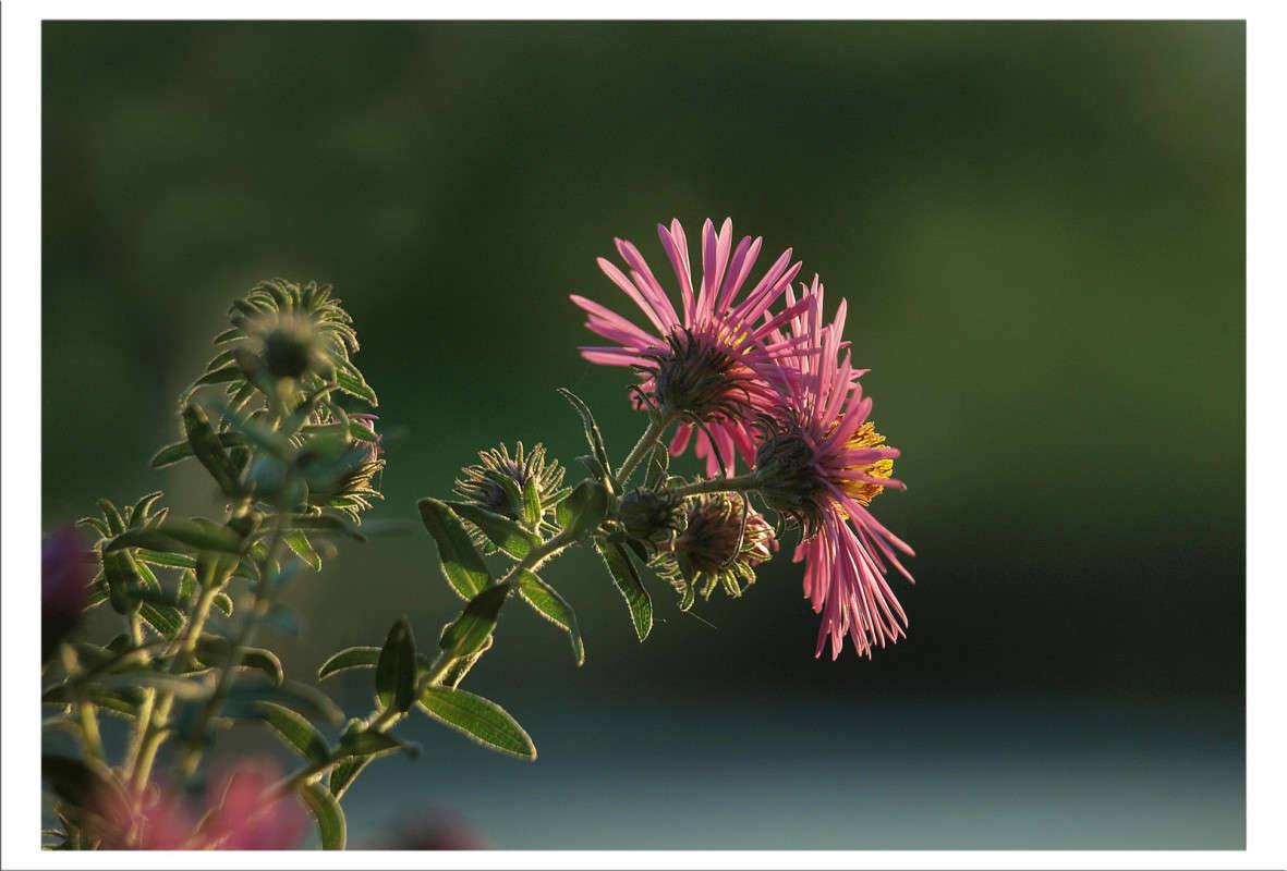 ��� �� ������� 7 ����� ������  �� PhotoGeek.ru #������ ��� �������