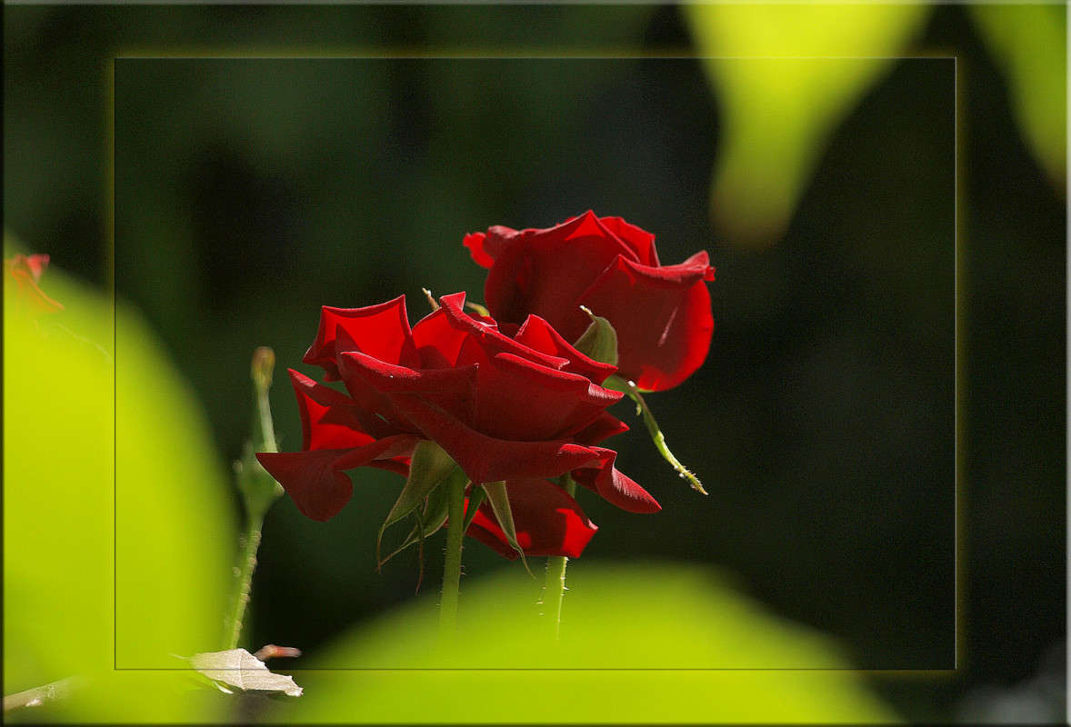 ����� ������� ������� ����� ������  �� PhotoGeek.ru #������ ��� �������