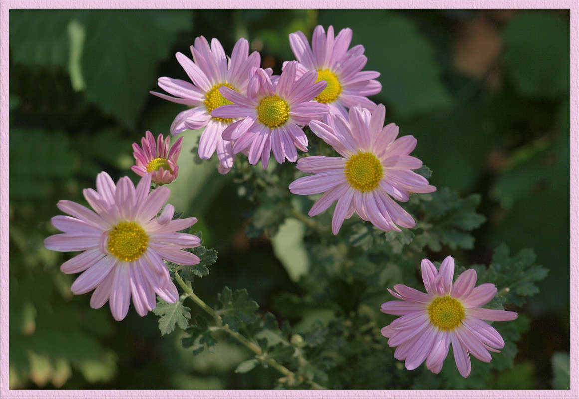 ��������� ���� ����� 15 ����� ������  �� PhotoGeek.ru #������ ��� �������