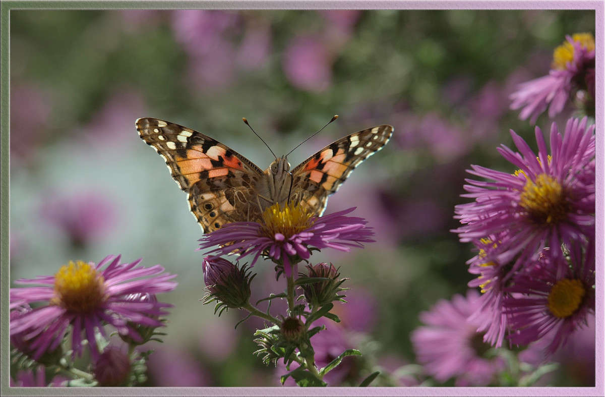 ��������� ���� ����� 16 ����� ������  �� PhotoGeek.ru #�����