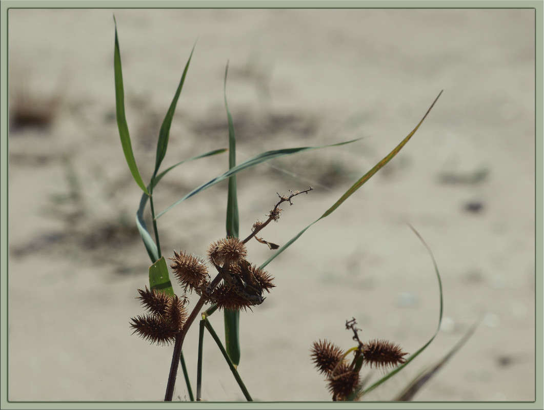 ��� �������� ��������� ����� ������  �� PhotoGeek.ru #������ ��� �������