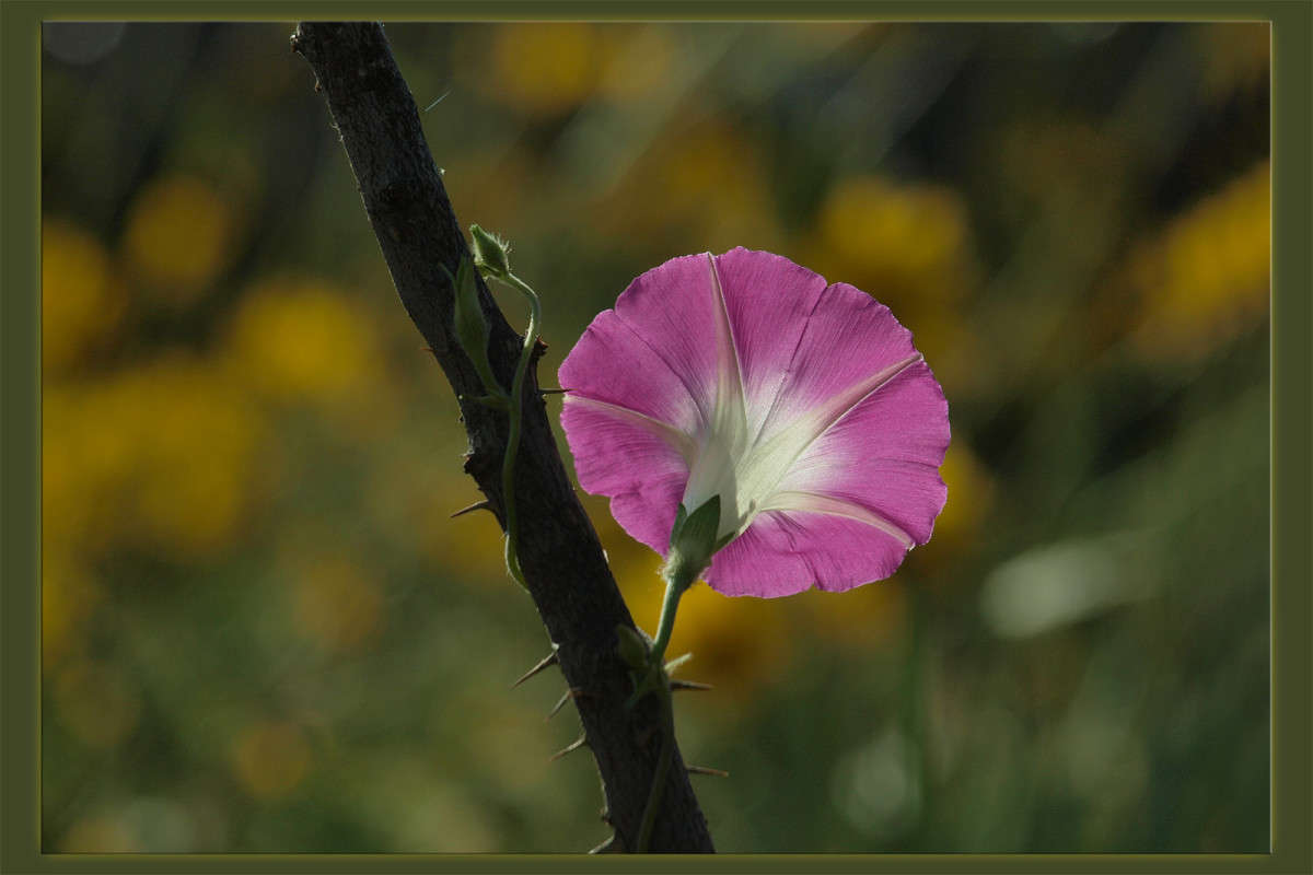 ����������� �� ������ ����� ������  �� PhotoGeek.ru #������ ��� �������