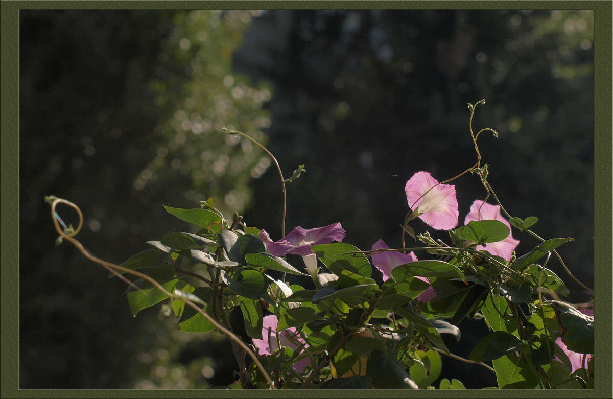 ��� ���� � ���� ����� ������  �� PhotoGeek.ru #������ ��� �������