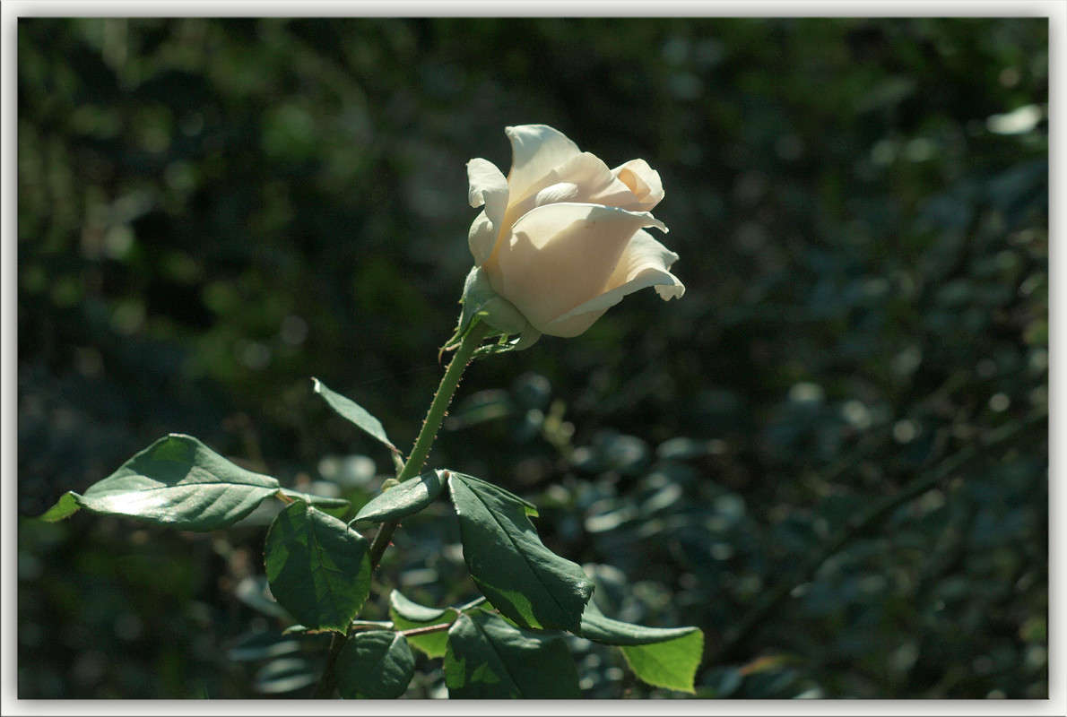 ����� ����� ����� ������  �� PhotoGeek.ru #������ ��� �������