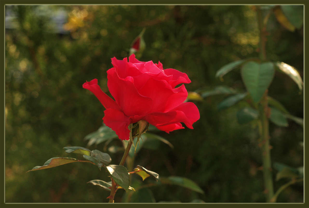 ����� ������� ����� ������  �� PhotoGeek.ru #������ ��� �������