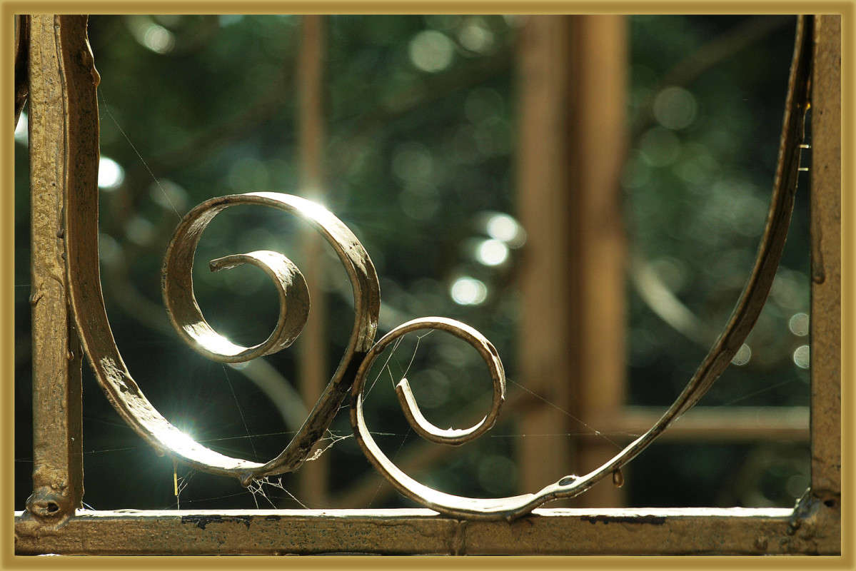 ��������� ����� ������  �� PhotoGeek.ru #�������� ����������