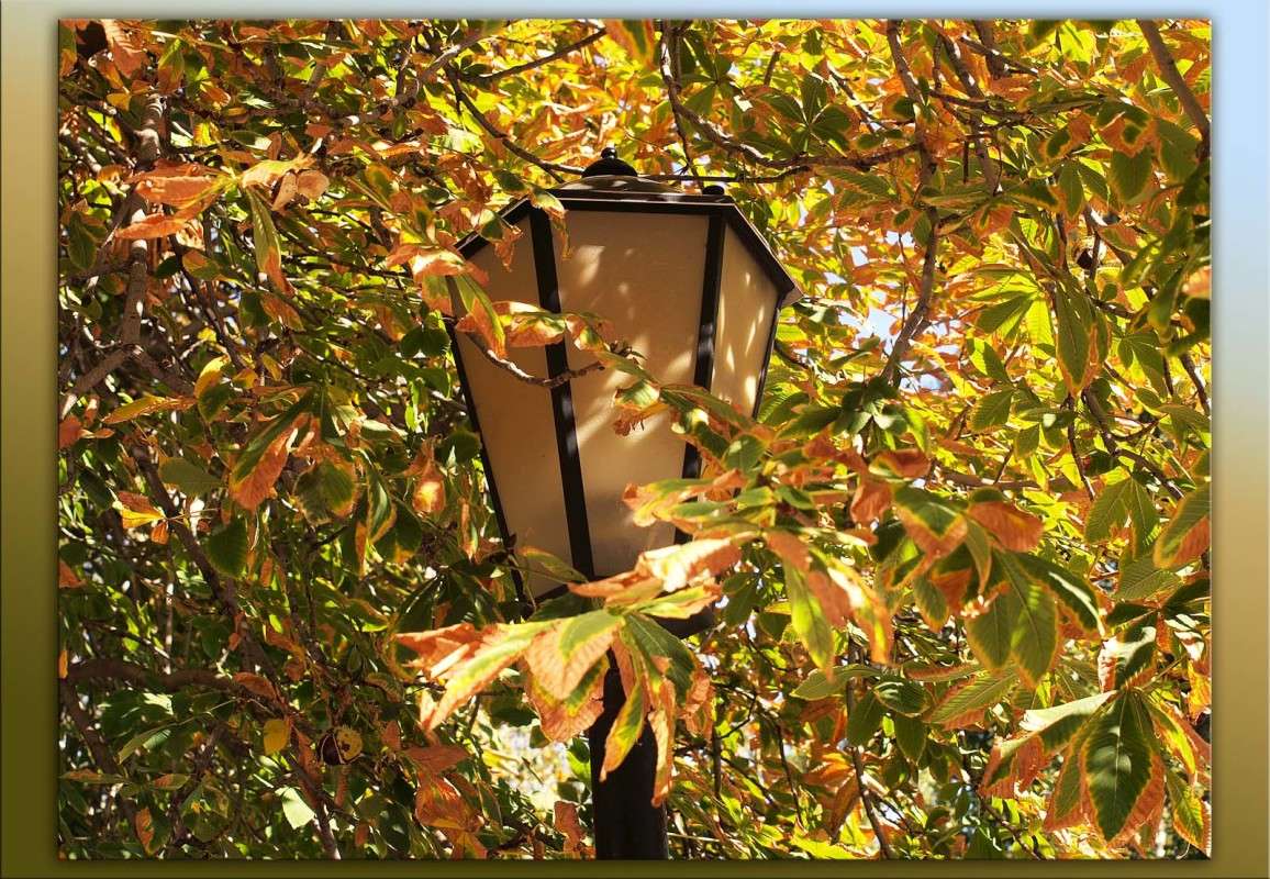 ������ ������ ����� ����� ������  �� PhotoGeek.ru #�����