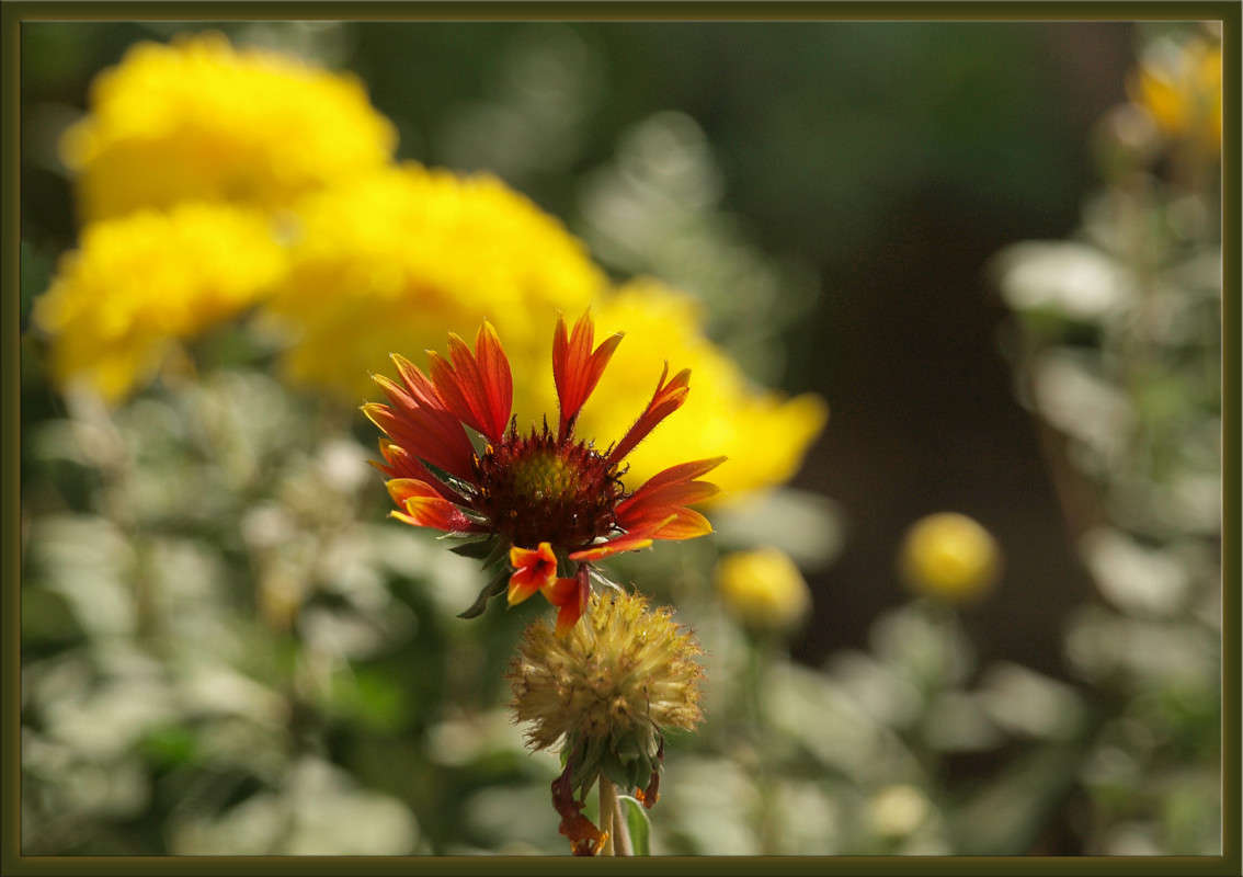 ��� �������� ����� ������  �� PhotoGeek.ru #������ ��� �������