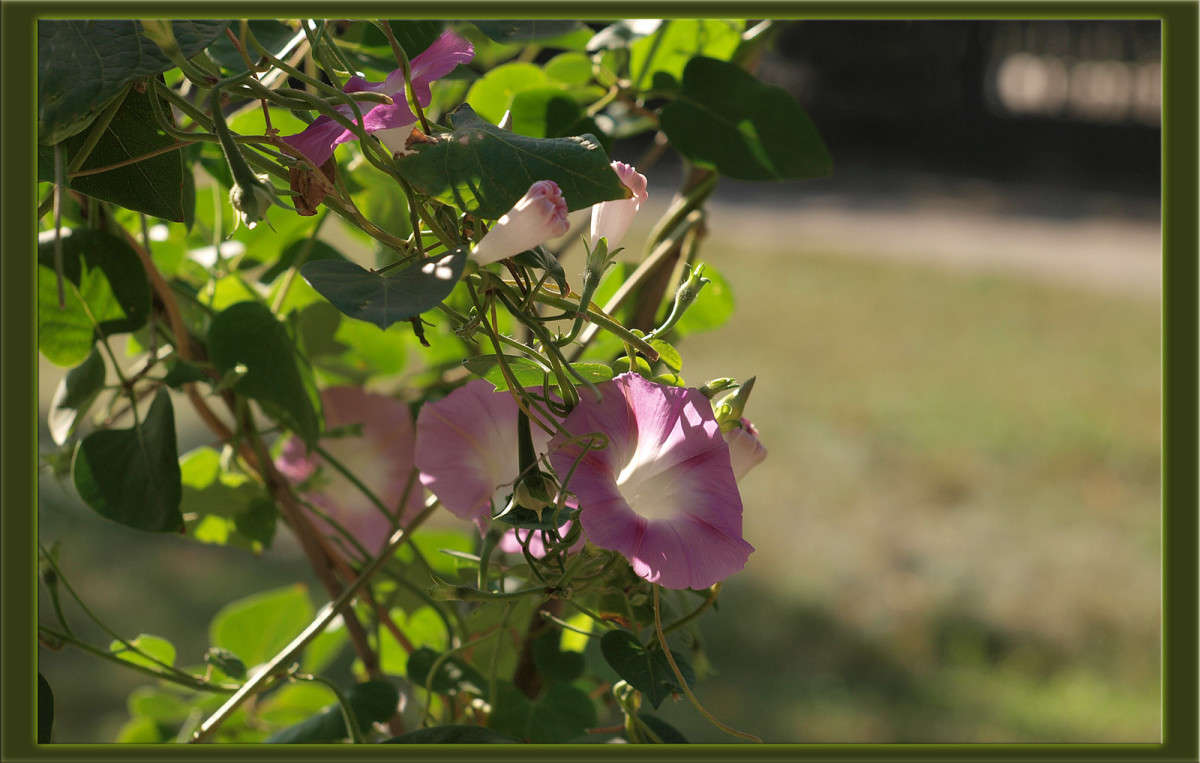 ��� ��� �������� ����� ������  �� PhotoGeek.ru #������ ��� �������