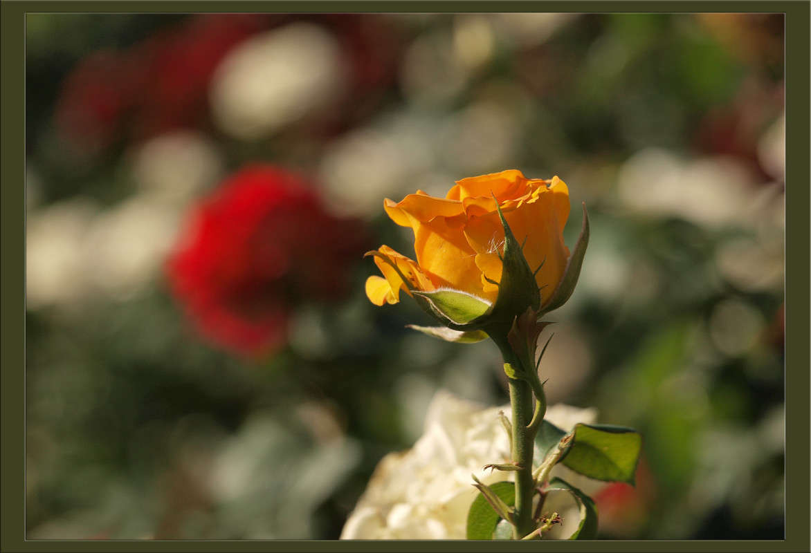 ����� ������ ����� ������  �� PhotoGeek.ru #������ ��� �������