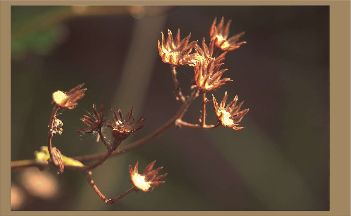 ������ �������� ����� ������  �� PhotoGeek.ru #������ ��� �������