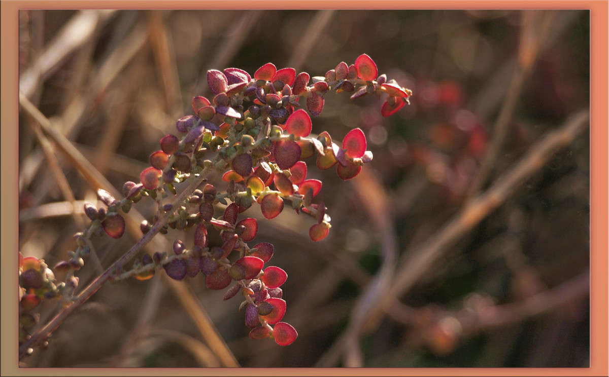 �������� ����� ������  �� PhotoGeek.ru #������ ��� �������