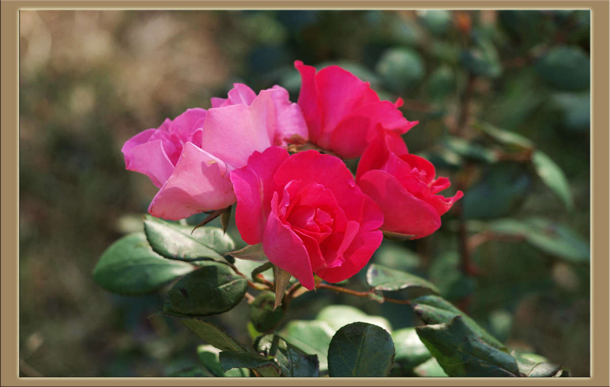 ����� ������� ����� ������  �� PhotoGeek.ru #������ ��� �������