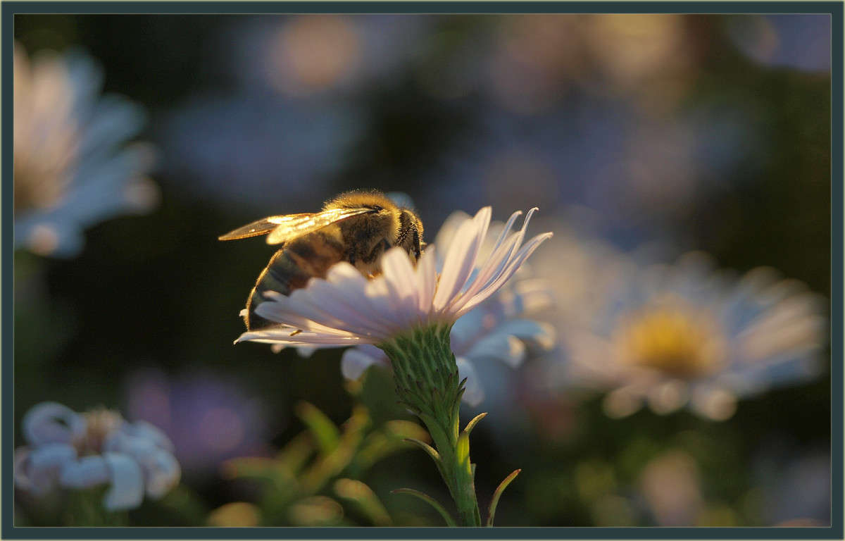 ������� ������� ����� ������  �� PhotoGeek.ru #�����