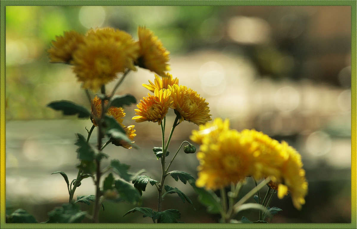 �� ����� ����� ������  �� PhotoGeek.ru #������ ��� �������