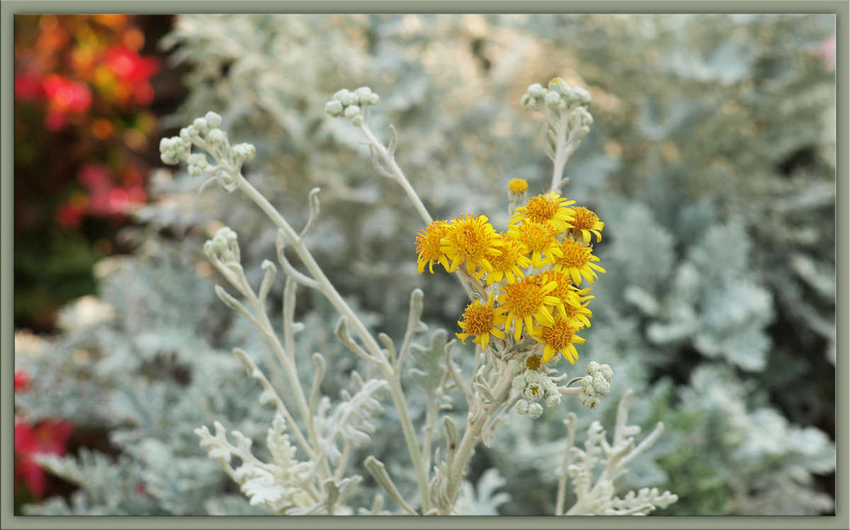 �� ����� ����� ������  �� PhotoGeek.ru #������ ��� �������