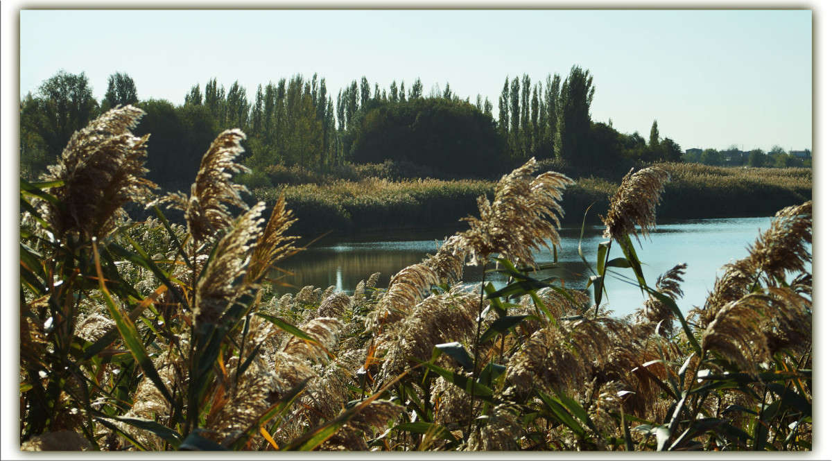 ����� ����� ����� ������  �� PhotoGeek.ru #������ ��� �������