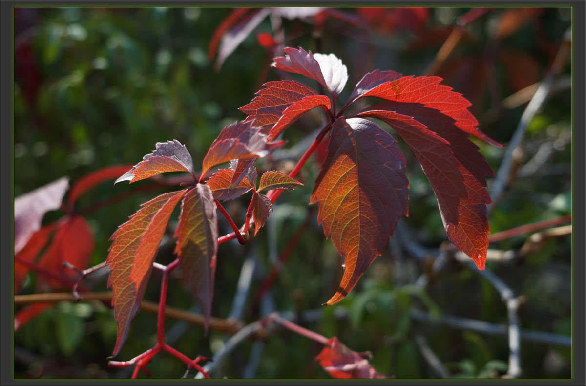 ��������� ���� ����� 18 ����� ������  �� PhotoGeek.ru #������ ��� �������