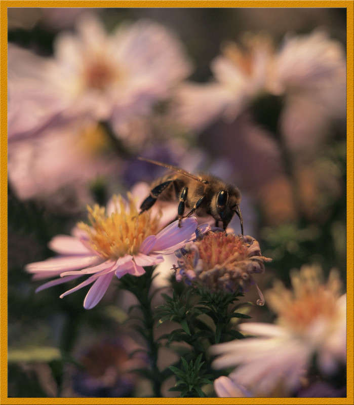 ��������� ������� 4 ����� ������  �� PhotoGeek.ru #�����