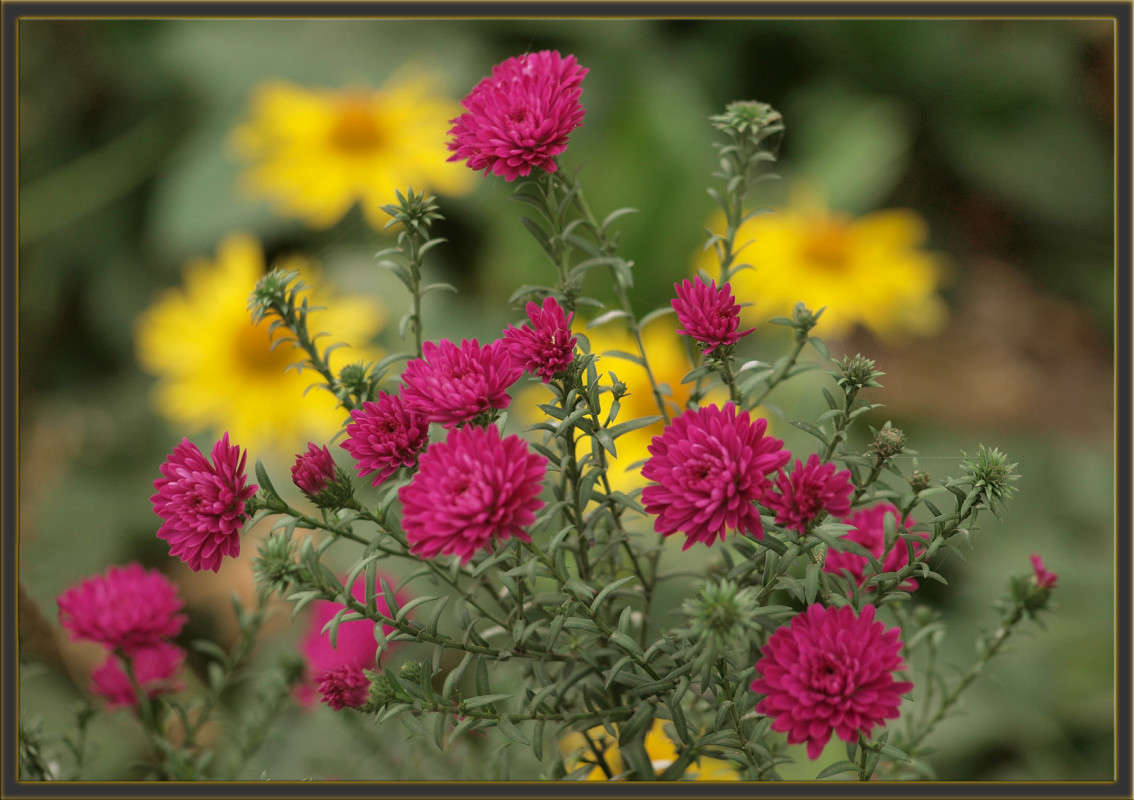 �� �������� ����� ����� ������  �� PhotoGeek.ru #������ ��� �������