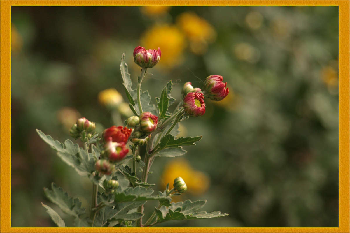 � ������ ����� ������  �� PhotoGeek.ru #������ ��� �������