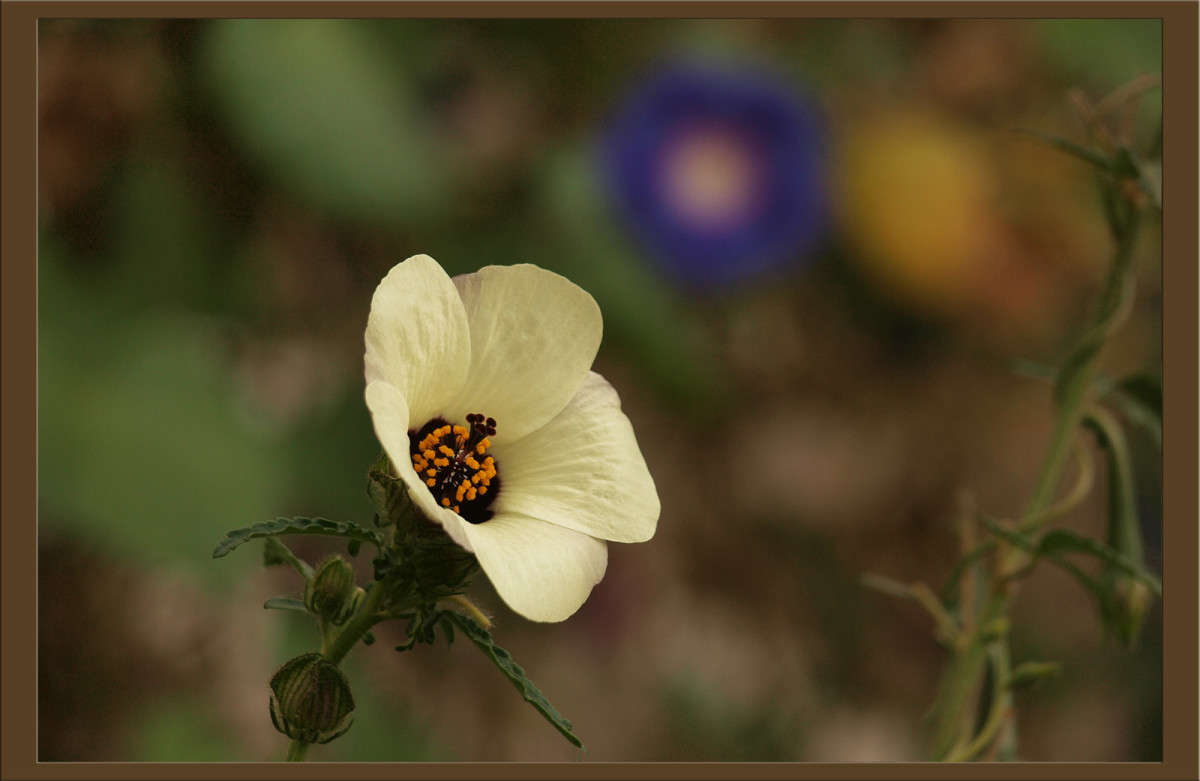 � ���� 2 ����� ������  �� PhotoGeek.ru #������ ��� �������