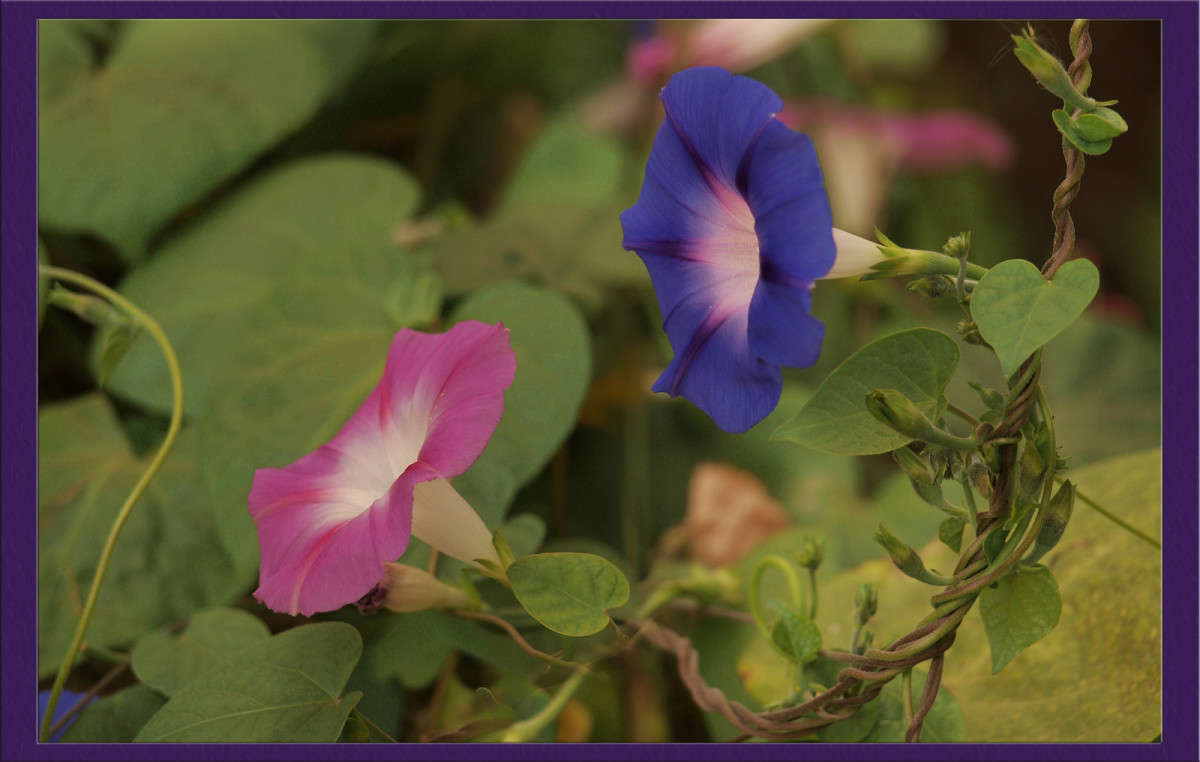 � ���� ����� ������  �� PhotoGeek.ru #������ ��� �������