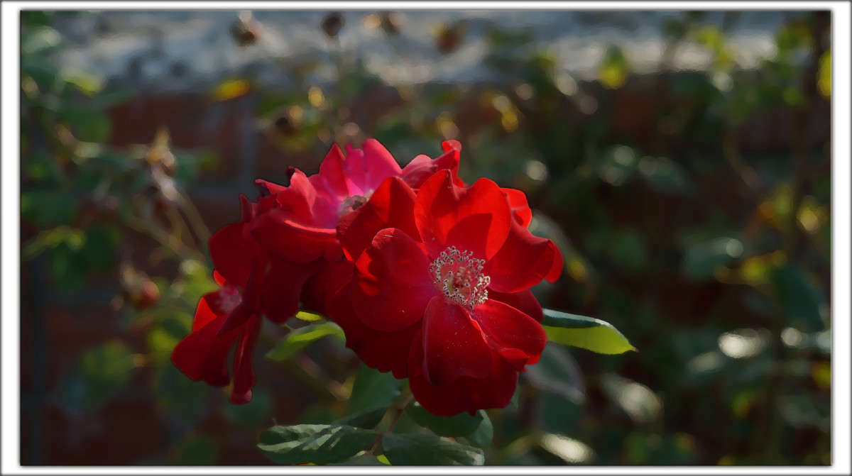 ��������� ���� ����� 19 ����� ������  �� PhotoGeek.ru #������ ��� �������