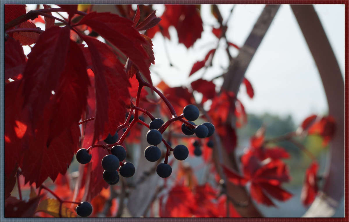 ����� ����� ������  �� PhotoGeek.ru #������ ��� �������