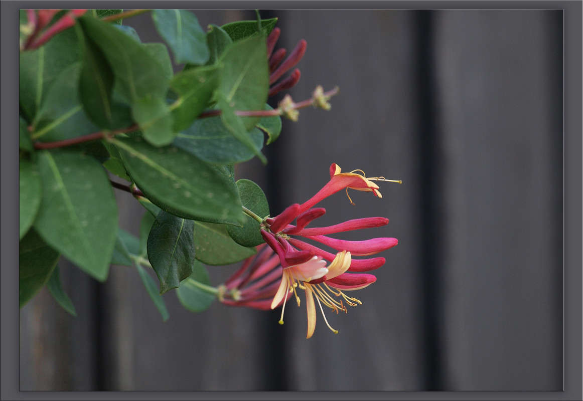 ������� ������������� ����� ������  �� PhotoGeek.ru #������ ��� �������