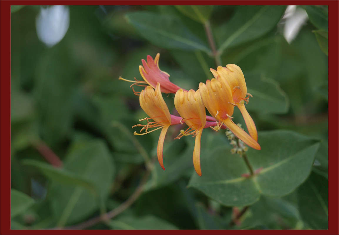 ������� ������������� 2 ����� ������  �� PhotoGeek.ru #������ ��� �������