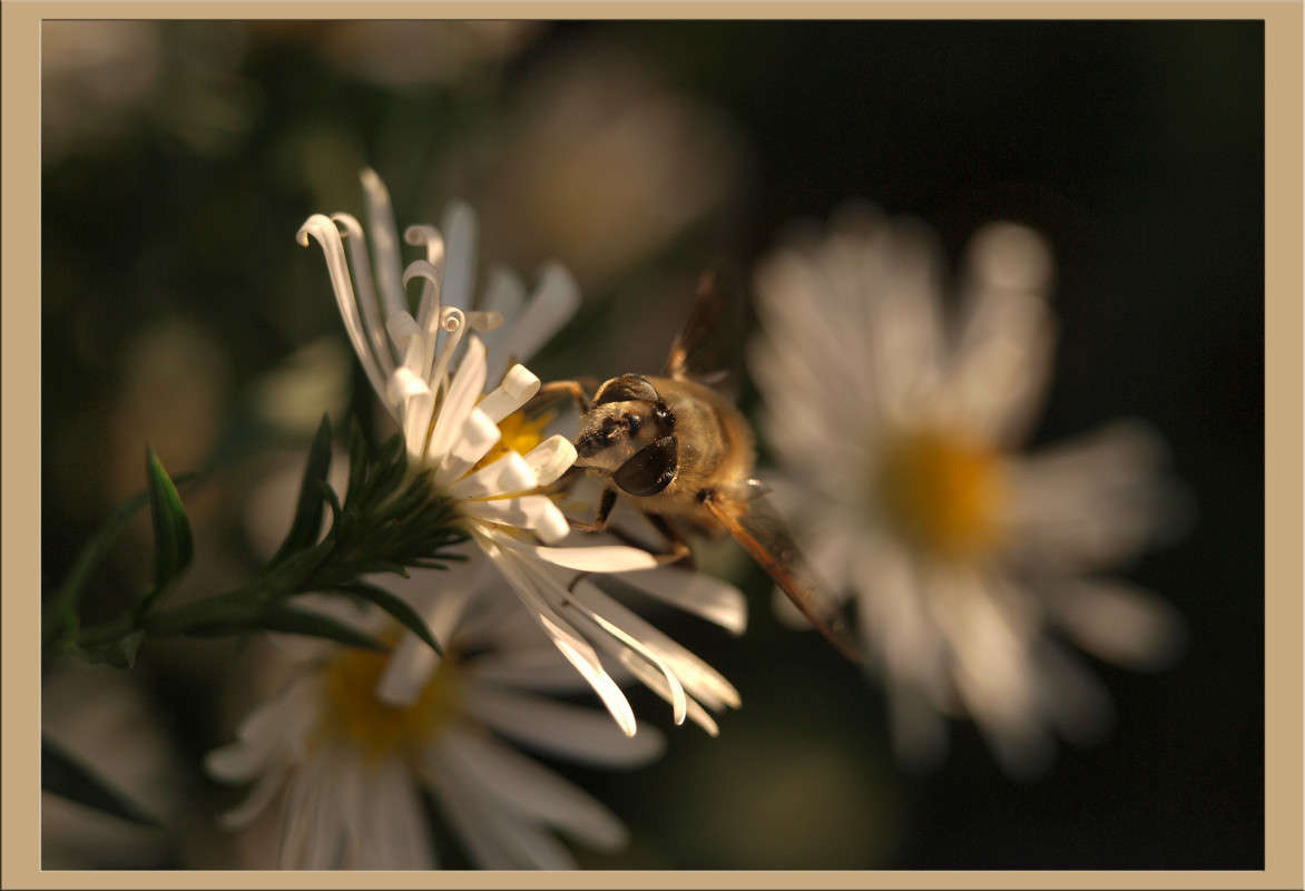 ��������� ������� 5 ����� ������  �� PhotoGeek.ru #�����