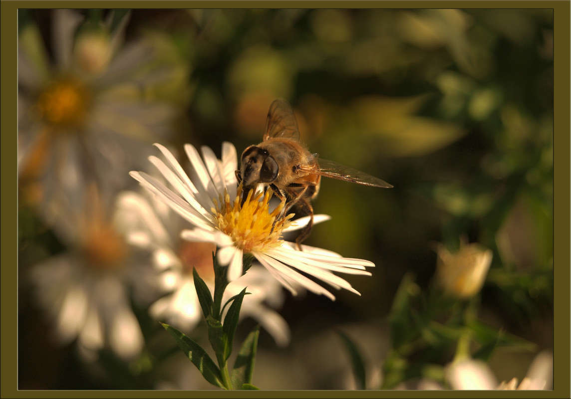 ��������� ������� 6 ����� ������  �� PhotoGeek.ru #�����