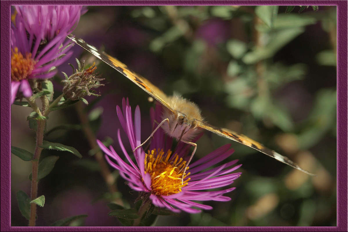 � ����� �� ���� ����� ������  �� PhotoGeek.ru #�����