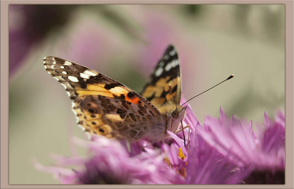 ��������� ���� ����� 20 ����� ������  �� PhotoGeek.ru #�����