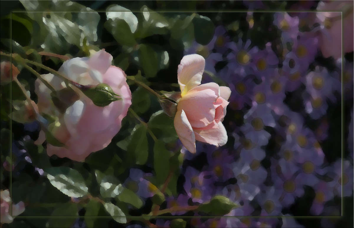 ��������� ���� ����� 21 ����� ������  �� PhotoGeek.ru #������ ��� �������