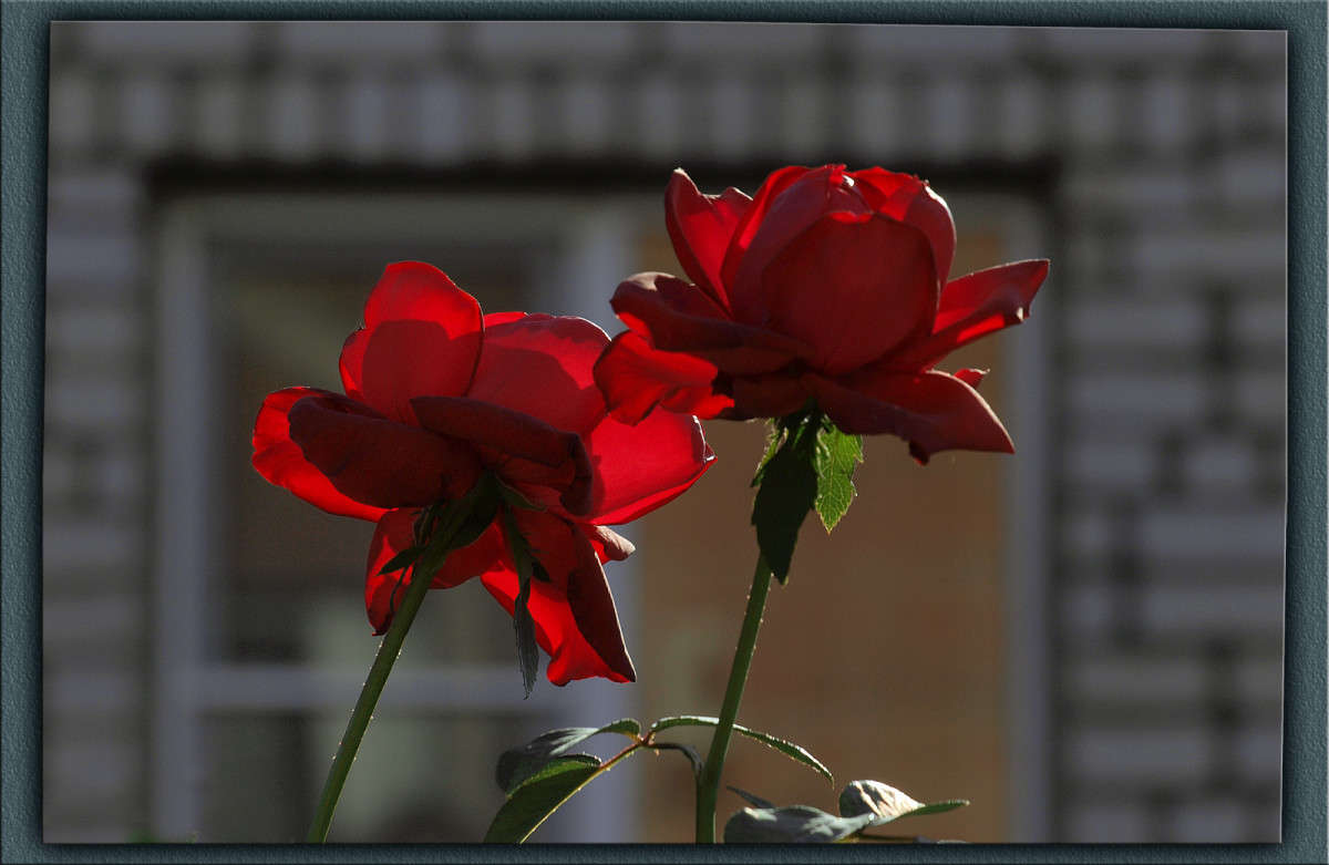 � �� ������ ���� ���� ������� ����� ����� ������  �� PhotoGeek.ru #������ ��� �������