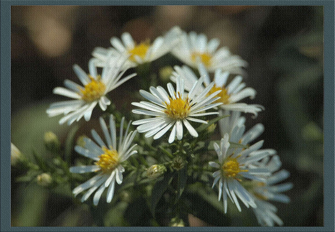 ��������� ���� ����� 22 ����� ������  �� PhotoGeek.ru #������ ��� �������