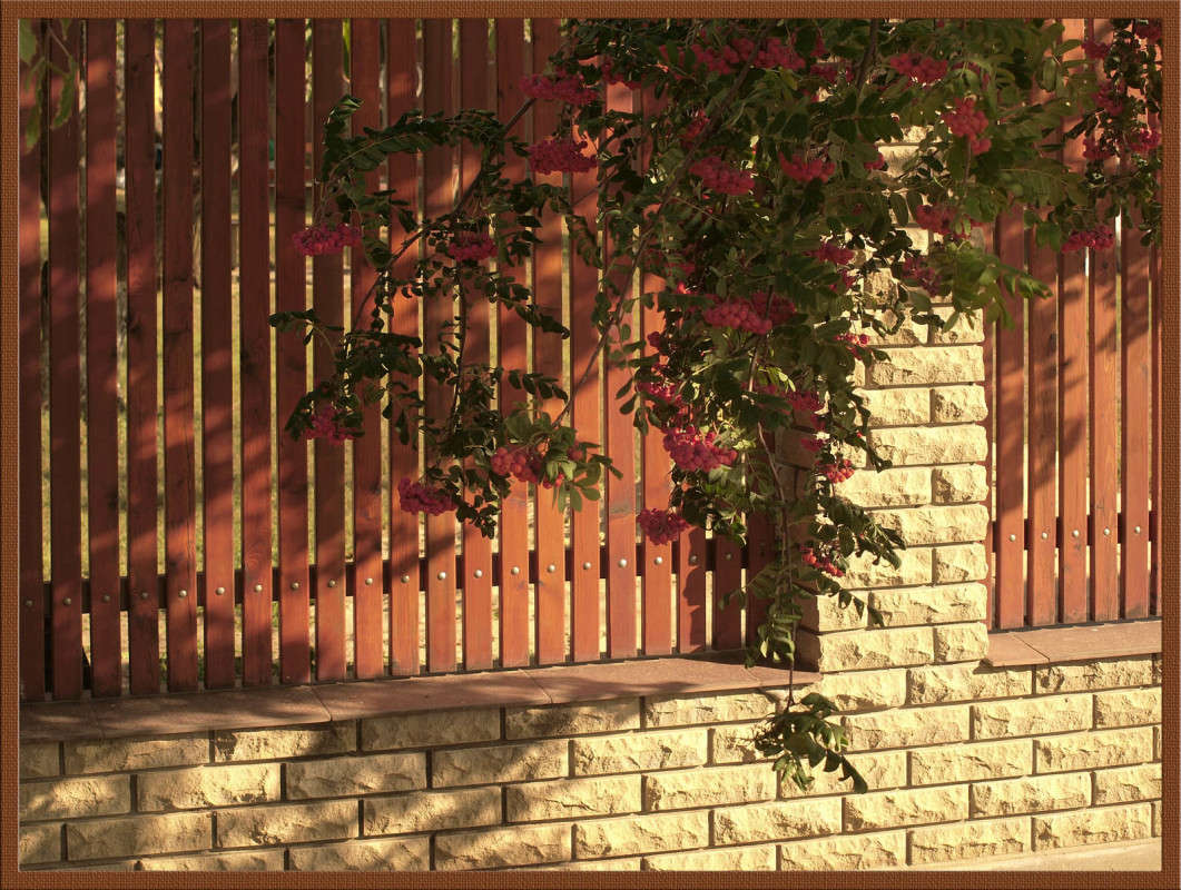 ��������� ���� ����� 23 ����� ������  �� PhotoGeek.ru #�����