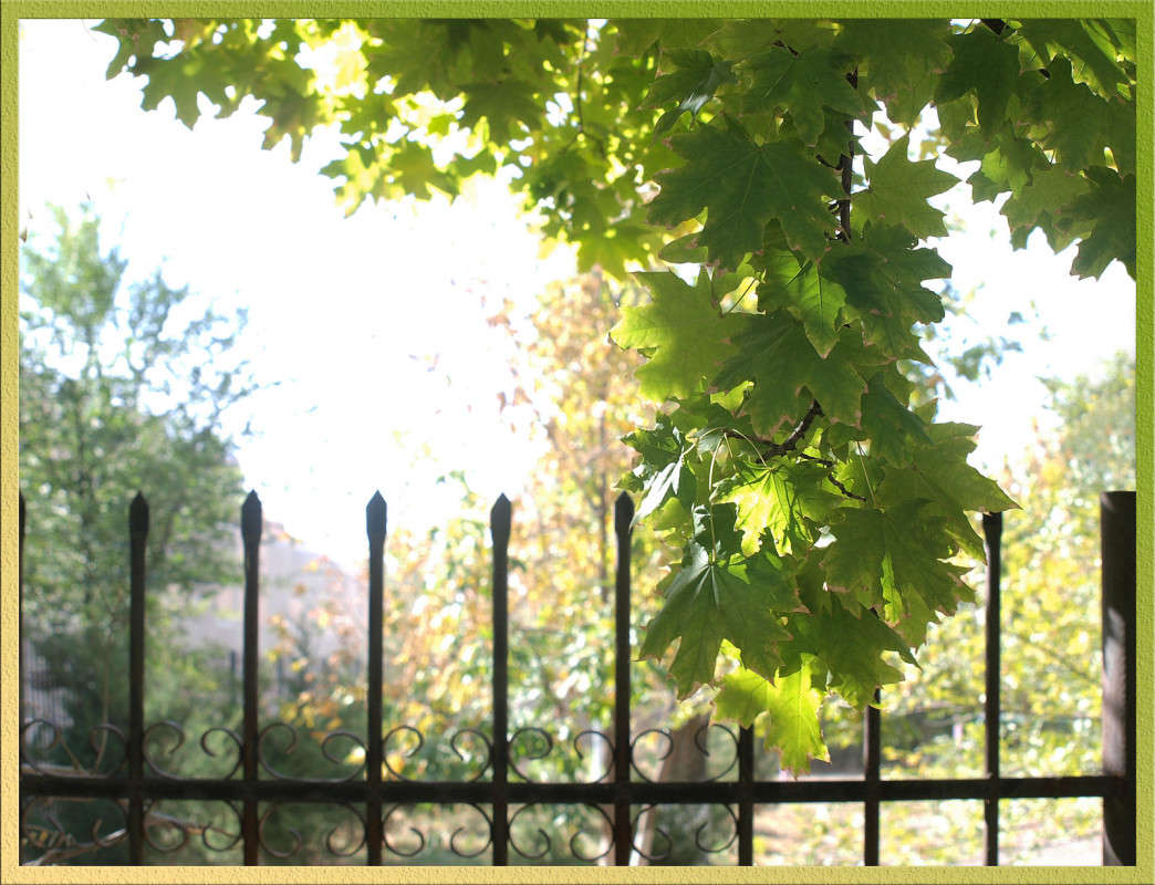 ��������� ���� ����� 25 ����� ������  �� PhotoGeek.ru #������ ��� �������