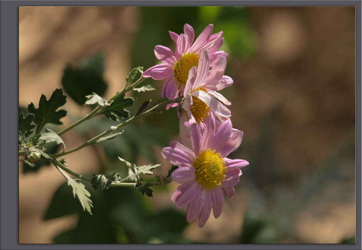 ��������� ���� ����� 24 ����� ������  �� PhotoGeek.ru #������ ��� �������