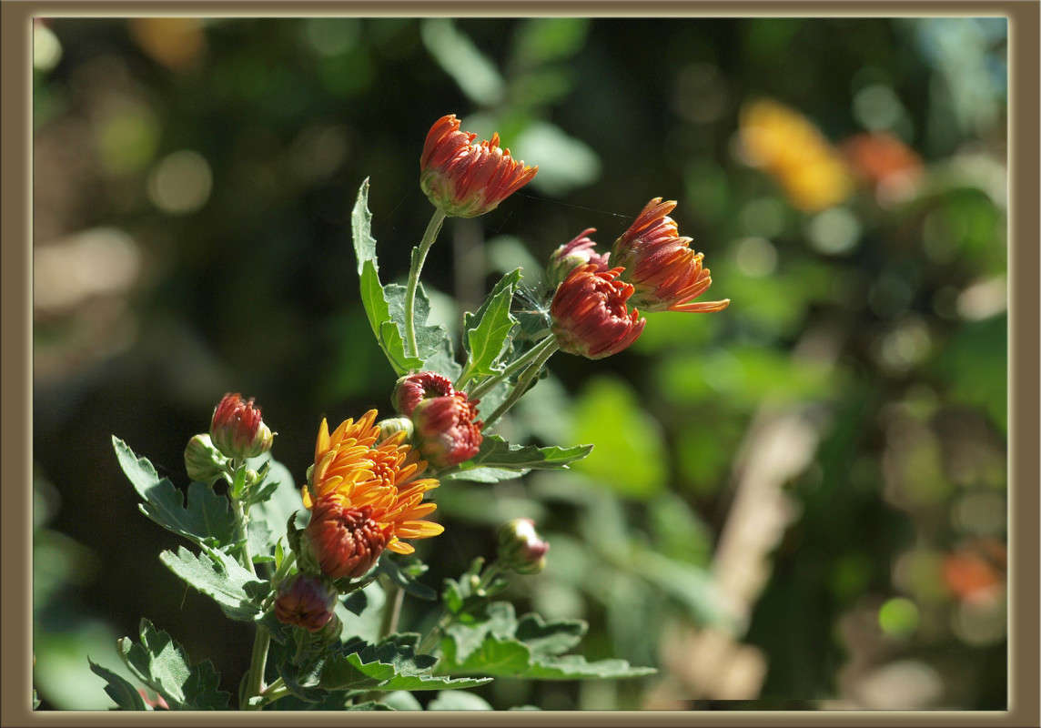 ��������� ���� ����� 27 ����� ������  �� PhotoGeek.ru #������ ��� �������