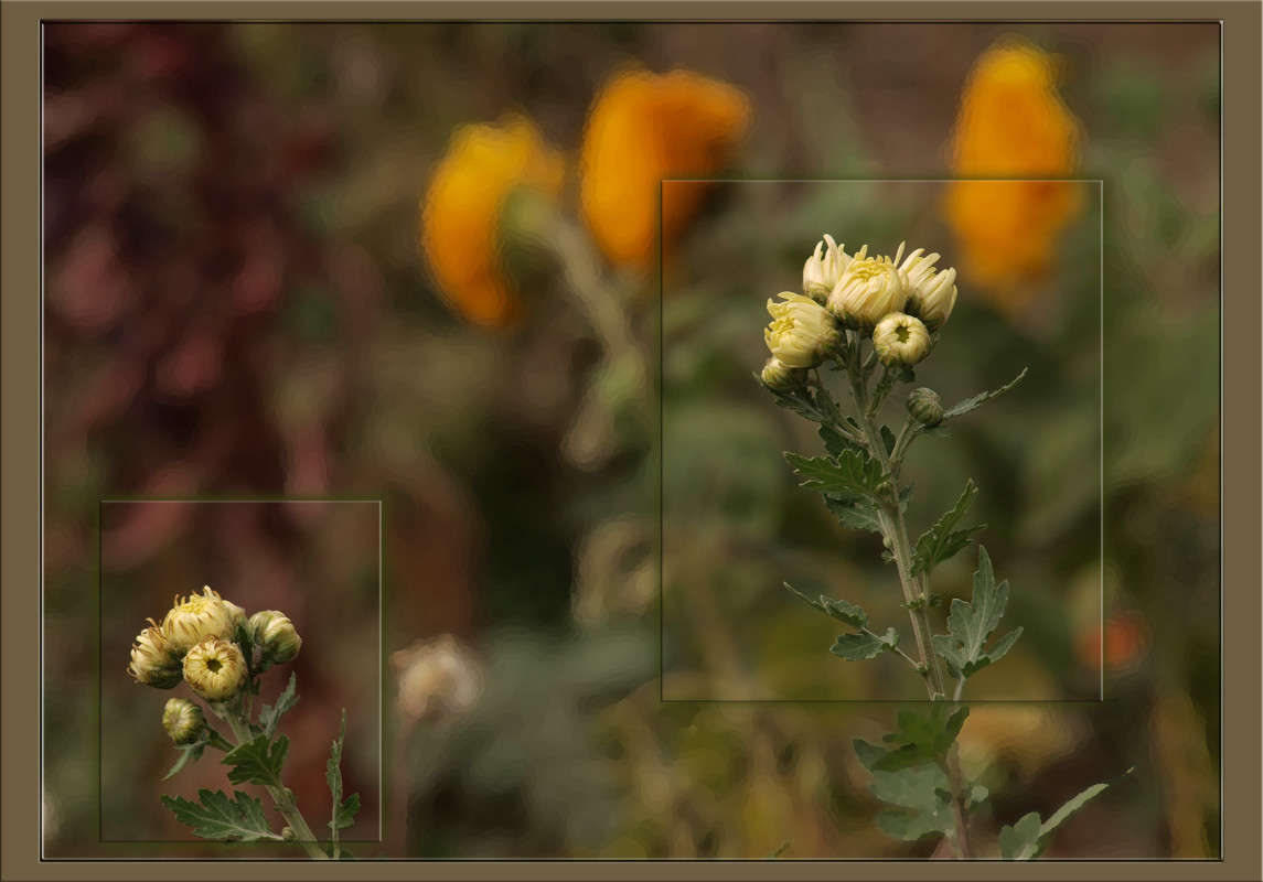 ��������� ����� ����� ������  �� PhotoGeek.ru #������ ��� �������