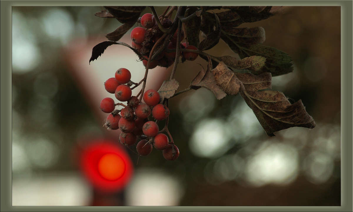 � ��������� ����� ������  �� PhotoGeek.ru #������ ��� �������