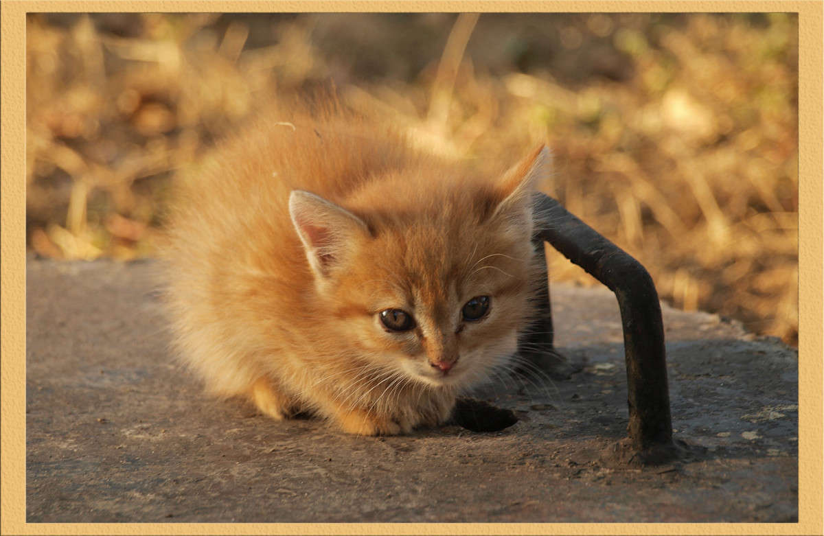 ����������� ����� ������  �� PhotoGeek.ru #�������� ���