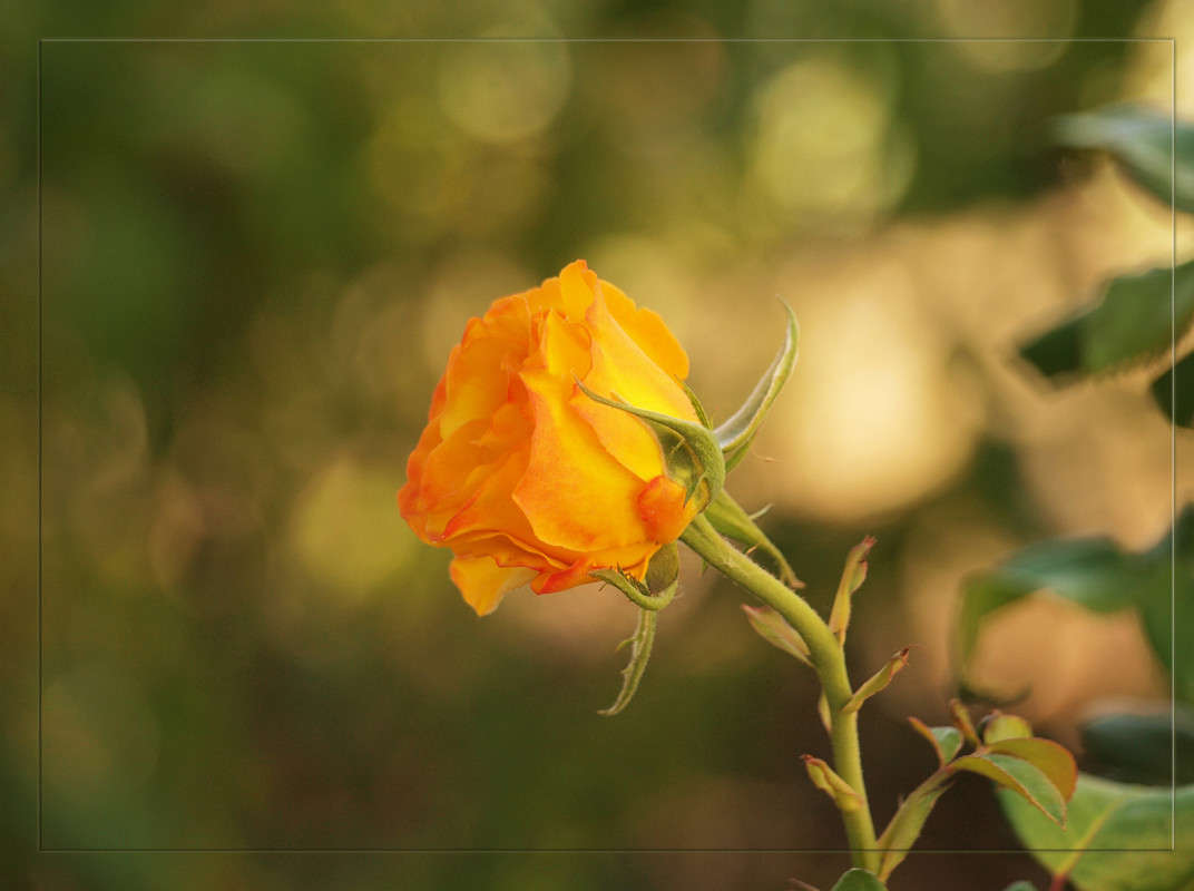 ���������� ���� ����� ������  �� PhotoGeek.ru #������ ��� �������